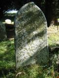 image of grave number 195609